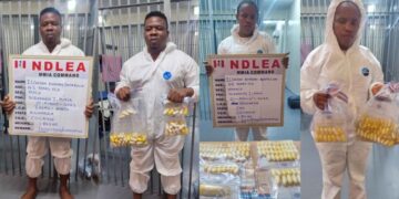 NDLEA Arrests Woman With Drug In Private Part, Couple Excretes 284 Wraps Of Cocaine