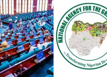 How Great Green Wall Agency spent N81.2bln to Plant 21million Trees – Reps