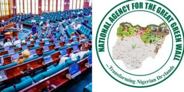 How Great Green Wall Agency spent N81.2bln to Plant 21million Trees – Reps
