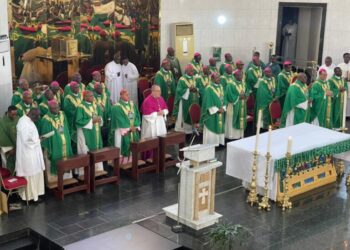 Insecurity : Catholic Bishops Urge Governments To Checkmate Proliferation Of Arms