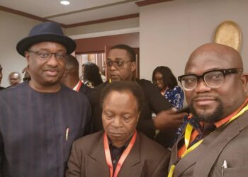 EDO-APC Diaspora Council Wooing Investors To Edo, Says DG