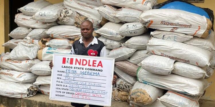 NDLEA Operatives Intercept Ephedrine, Skunk, Laughing Gas Consignments At Lagos Airport