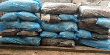 NDLEA Uncovers Meth, Skunk In Soles Of Ladies’ Shoes At Lagos Airport