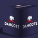 Dangote Industries Limited, Cement, Other BUs Prepare Big For Sustainability Week