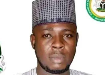 Police Begins Probe Into Borno Commissioner’s Death