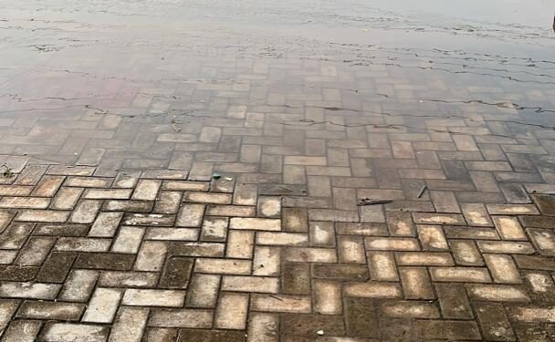 Flood Renders Over 3,000 Homeless In Lagos, Destroys 200 Houses in Riverview Estate