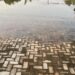 Flood Renders Over 3,000 Homeless In Lagos, Destroys 200 Houses in Riverview Estate