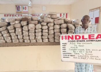 NDLEA Nabs Wanted Drug Kingpin, Septuagenarian, Chadian Over Illicit Drugs