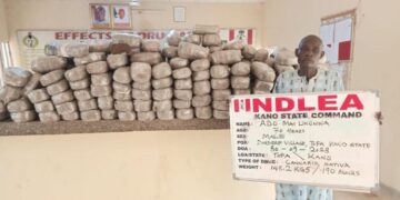 NDLEA Nabs Wanted Drug Kingpin, Septuagenarian, Chadian Over Illicit Drugs