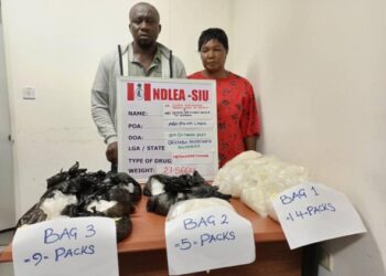 NDLEA Arrests Lagos Couple For Drug Trafficking, Detains 2 Wanted Drug Barons
