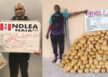 How NDLEA Nabbed Paris-bound ‘Businessman’ Who Excreted 93 Wraps Of Heroin At Abuja Airport