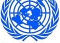 Israel Airstrikes Kill 89 UN Staff In Gaza