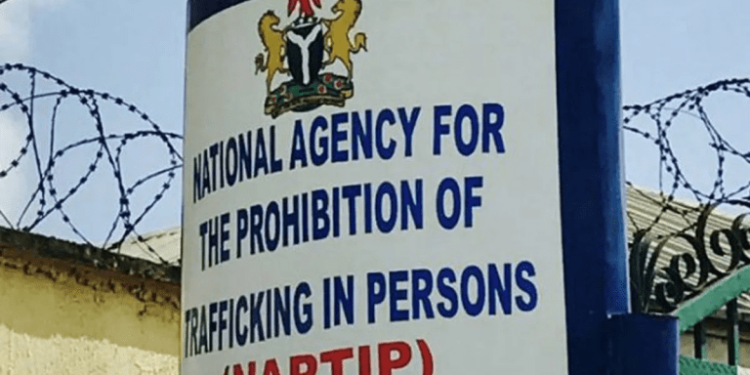 Saudi Arabia Deports 167 Nigerians