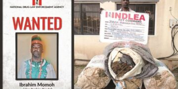 NDLEA Re -Arrests Abuja Drug Lord Seven Years After Escape From Kuje Prison