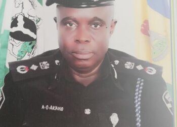 DIG Abdulrahman Akano Is Dead