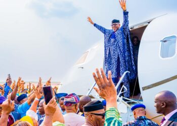 Our Supreme Court Victory, An Impetus To Do More – Abiodun