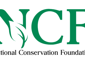 NCF Worries Over Makinde’s Plan To Destroy Ogunpa Forest Reserve In Ibadan