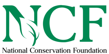 NCF Worries Over Makinde’s Plan To Destroy Ogunpa Forest Reserve In Ibadan