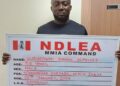 NDLEA Intercepts Colos Consignment Concealed In Boxing Kits