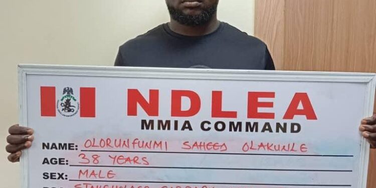 NDLEA Intercepts Colos Consignment Concealed In Boxing Kits