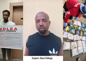 NDLEA Intercepts 1,274 Parcels Of Cocaine, Colorado In Lagos, 5.6million Opioid Pills In Kano