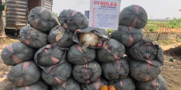 NDLEA Nabs Brazil Returnee, Excretes 60 Wraps Of Cocaine In Custody