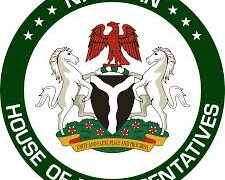 House Of Reps Raises Committee To Probe Plateau Killings