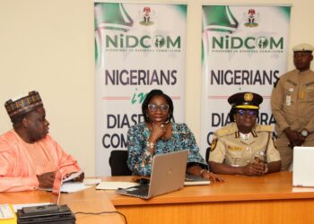 Diaspora Lecture Series : Interior Minister Reiterates Resolve To Provide Quality Passport Service Delivery