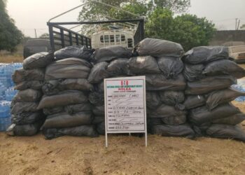 NDLEA Arrests Man Supplying Drugs To Insurgents In Borno, Six Women For Drug Trafficking