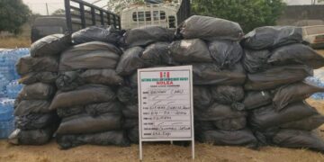 NDLEA Arrests Man Supplying Drugs To Insurgents In Borno, Six Women For Drug Trafficking