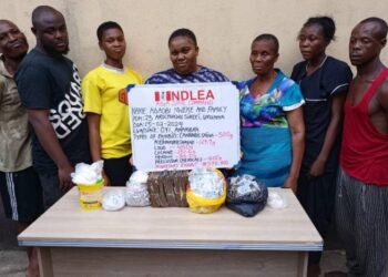 NDLEA Arrests Abia Female Lawyer, Mum For Illicit Drug Business