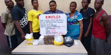 NDLEA Arrests Abia Female Lawyer, Mum For Illicit Drug Business