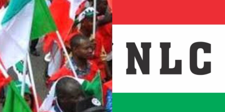 NLC Planned Nationwide Strike Suffers Setback As 65 CSOs Pull Out