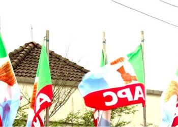 Blame Governors, LG Chairmen For Poor Performance, Not Tinubu – APC Diaspora Chieftain To Nigerians