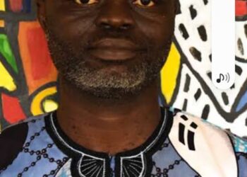 Dabiri – Erewa Applauds Olaoluwa’s Appointment As D-G Diaspora Centre