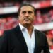 I will miss Super Eagles , Peseiro Says, Quits As Coach