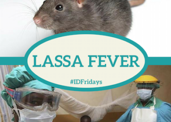 Lassa Fever Kills 9 Persons In Benue, 47 Cases Confirmed