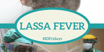 Lassa Fever Kills 9 Persons In Benue, 47 Cases Confirmed