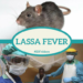 Lassa Fever Kills 9 Persons In Benue, 47 Cases Confirmed
