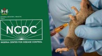 Lassa Kills 142, Infects 4,000 – NCDC