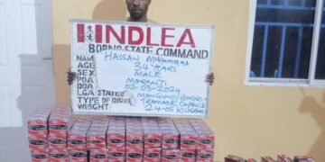 NDLEA Intercepts Vietnam-bound Businessman With 1.45kg Cocaine At Abuja Airport