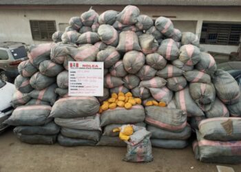 NDLEA Seizes 44,948kg drugs, 11 Vehicles, Arrests 8 Suspects In Massive Raids Across Lagos, Edo, Ondo
