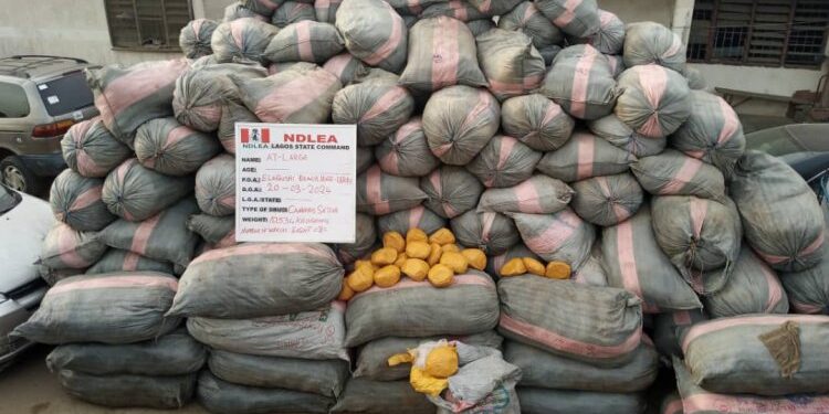 NDLEA Seizes 44,948kg drugs, 11 Vehicles, Arrests 8 Suspects In Massive Raids Across Lagos, Edo, Ondo