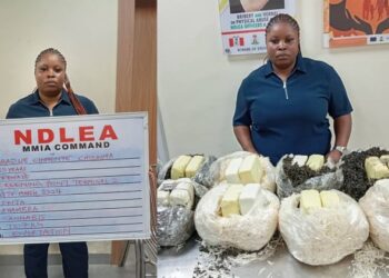 NDLEA Arrests Qatar-Bound Woman With Illicit Drugs Concealed In African Salad, Dried Vegetables