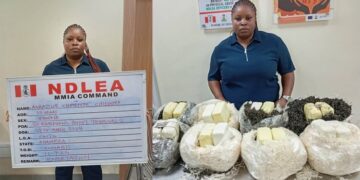 NDLEA Arrests Qatar-Bound Woman With Illicit Drugs Concealed In African Salad, Dried Vegetables
