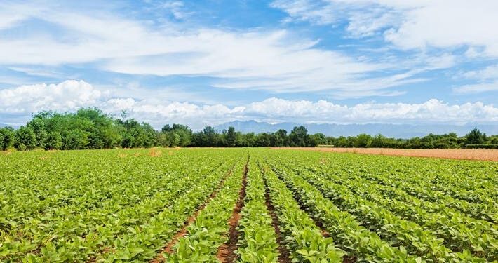 Agriculture : Netherlands Supports Nigeria, three Other African Countries With €100mln