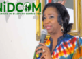 NiDCOM, USAID To Partner On Diaspora Engagements