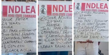 NDLEA Intercepts 418kg Indian Hemp, Arrests Pregnant Woman, Widow Over Fake N3.2million Cash