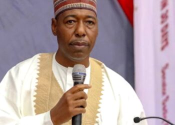 Zulum Approves Automatic Employment For 15 PWDs