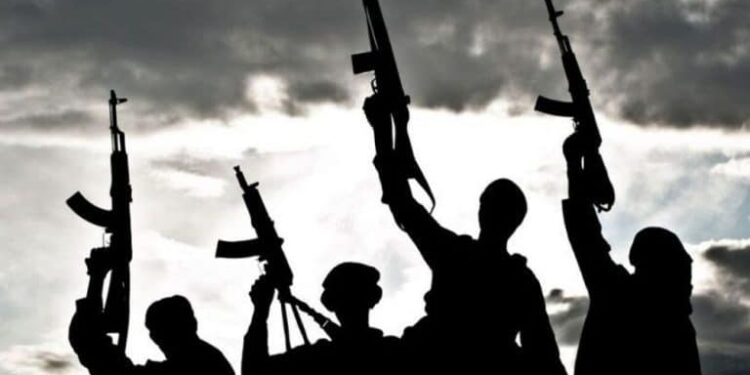 Bandits Kill 7 Persons, Abduct 200 Others In Niger State